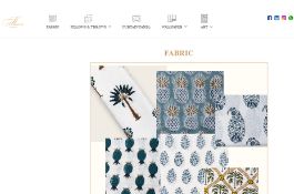 Shopify Ecommerce Website